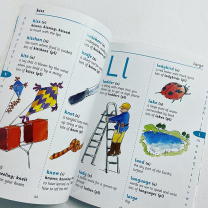 MY FIRST LADYBIRD DICTIONARY