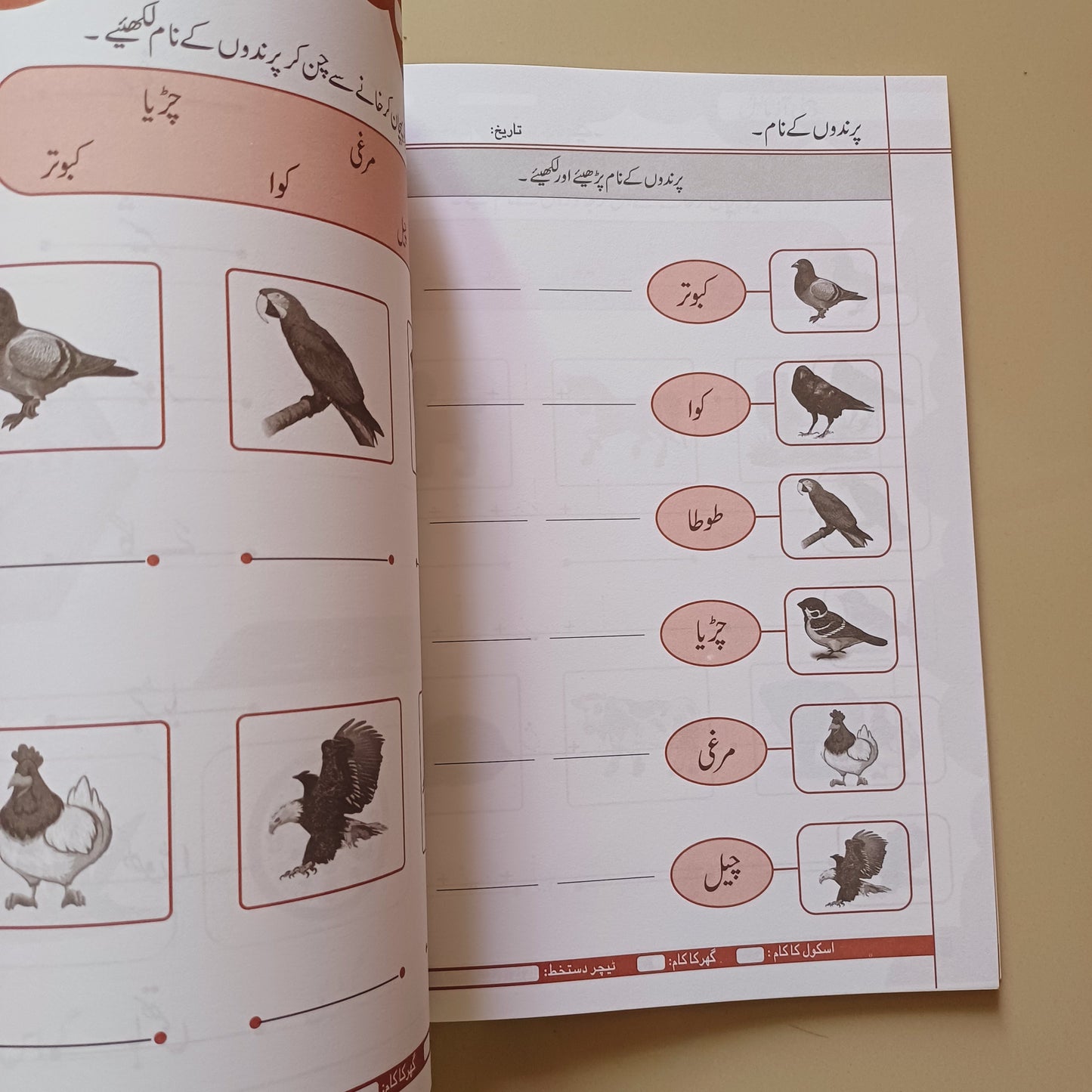 Practice Copies Set
Step 3