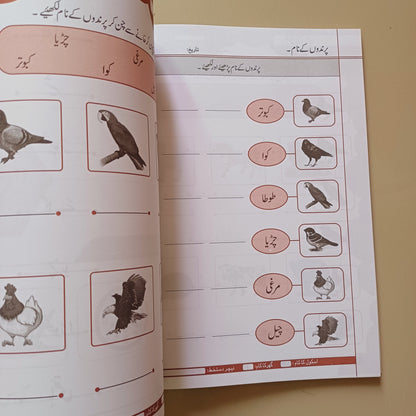 Practice Copies Set
Step 3