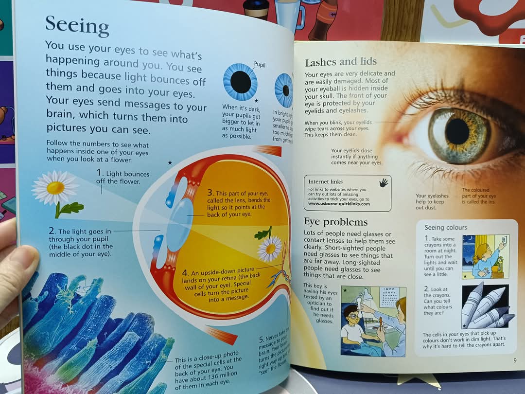 First Encyclopedia of the Human Body -Usborne