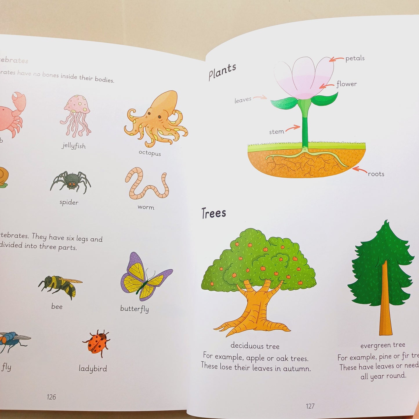 LADYBIRD I’M READY: TO SPELL! DICTIONARY