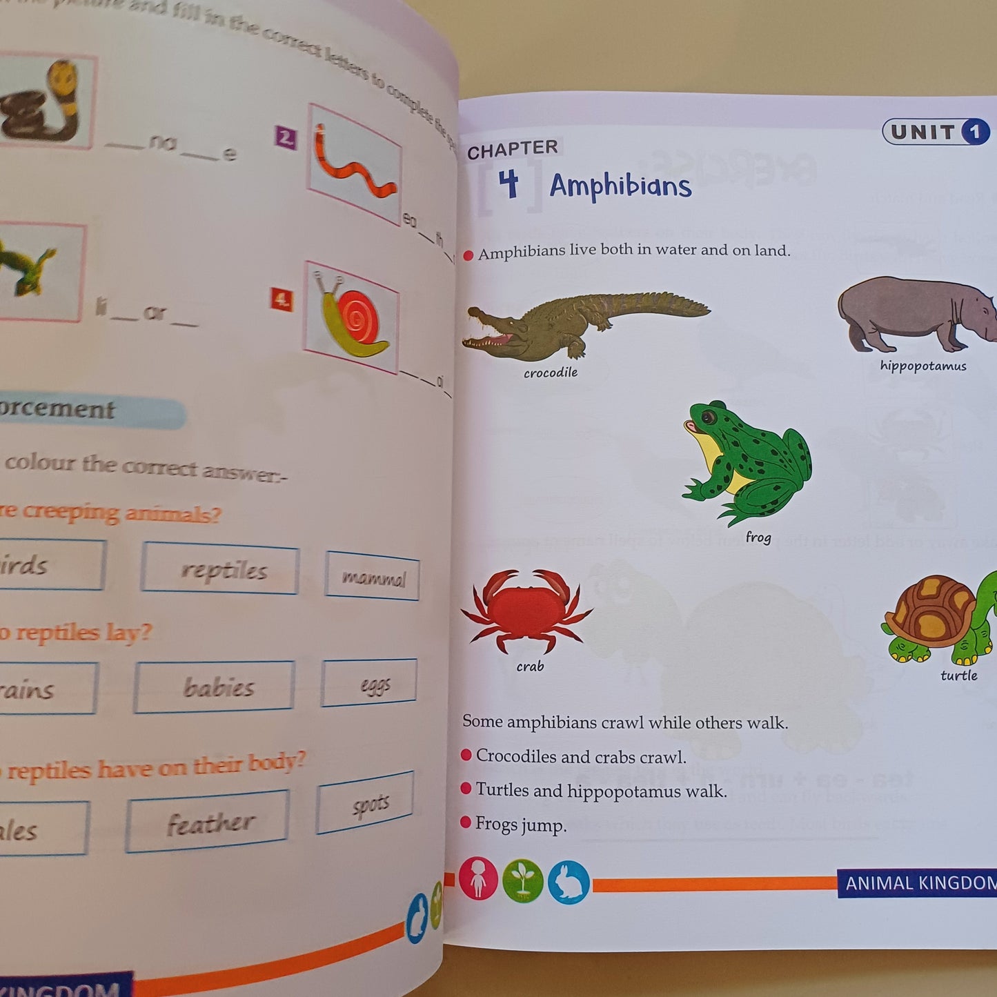 Kids Science