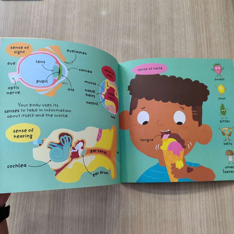 Big Words for Little Experts: Body