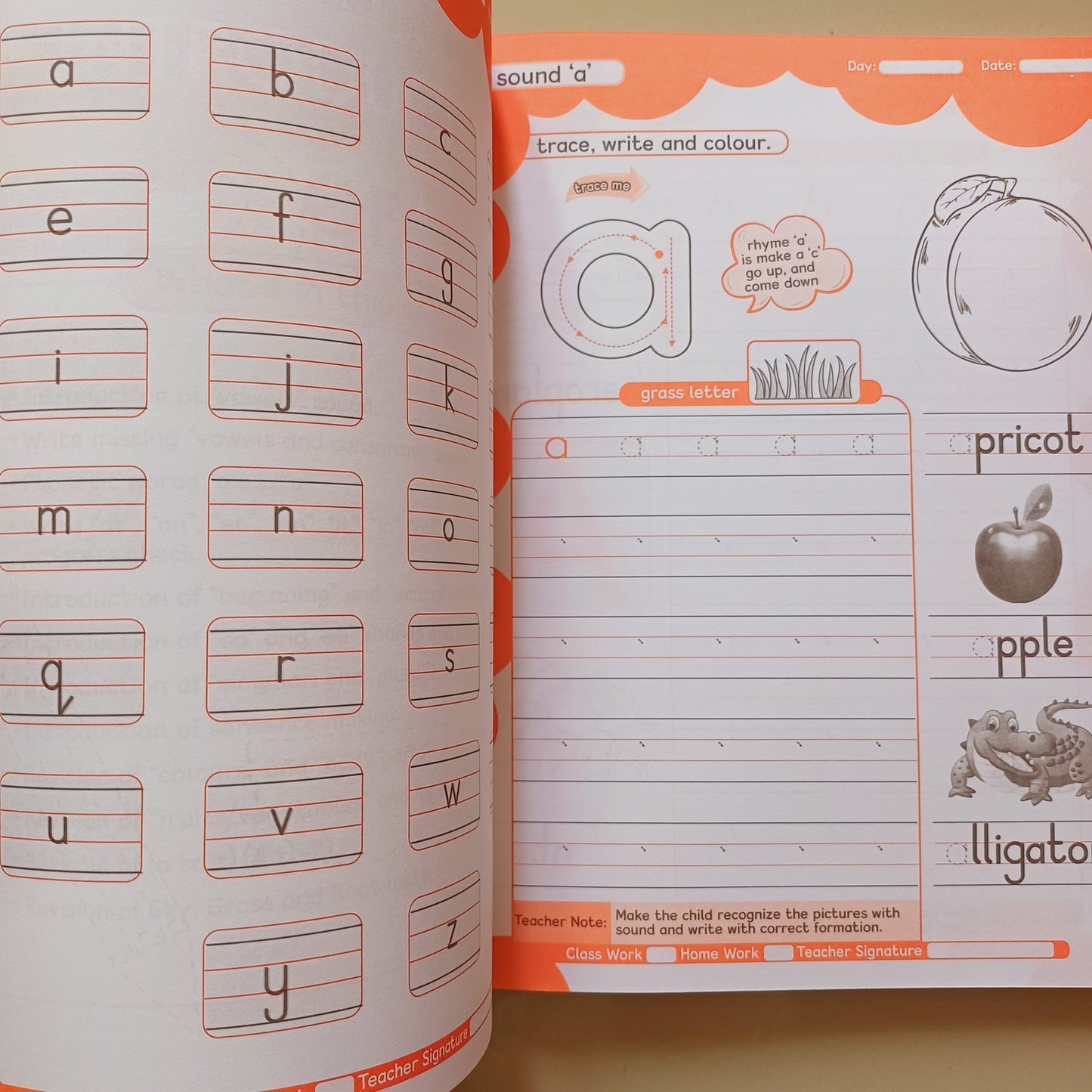 Practice Copies Set - Step 2