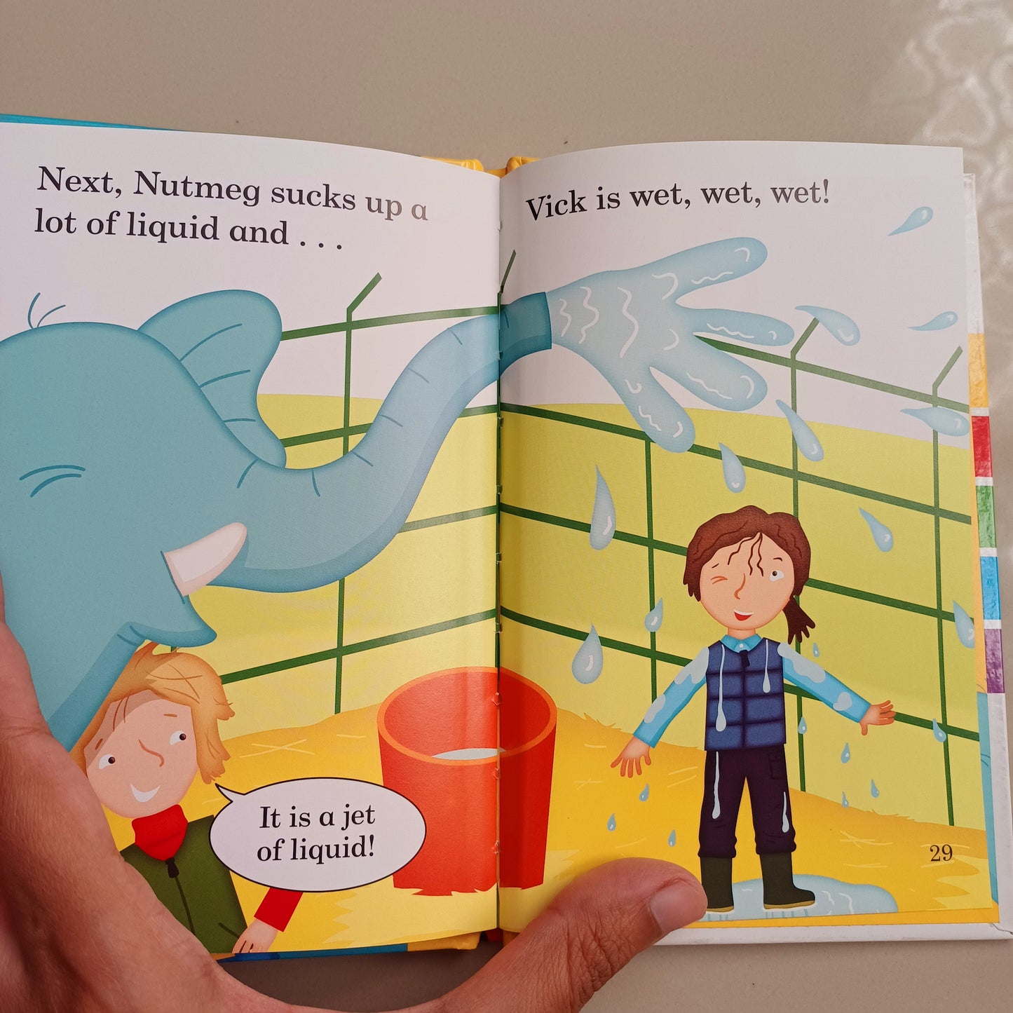 Ladybird read it yourself level 0 (phonics) set