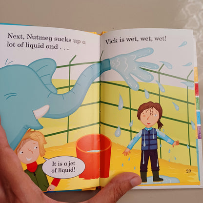 Ladybird read it yourself level 0 (phonics) set