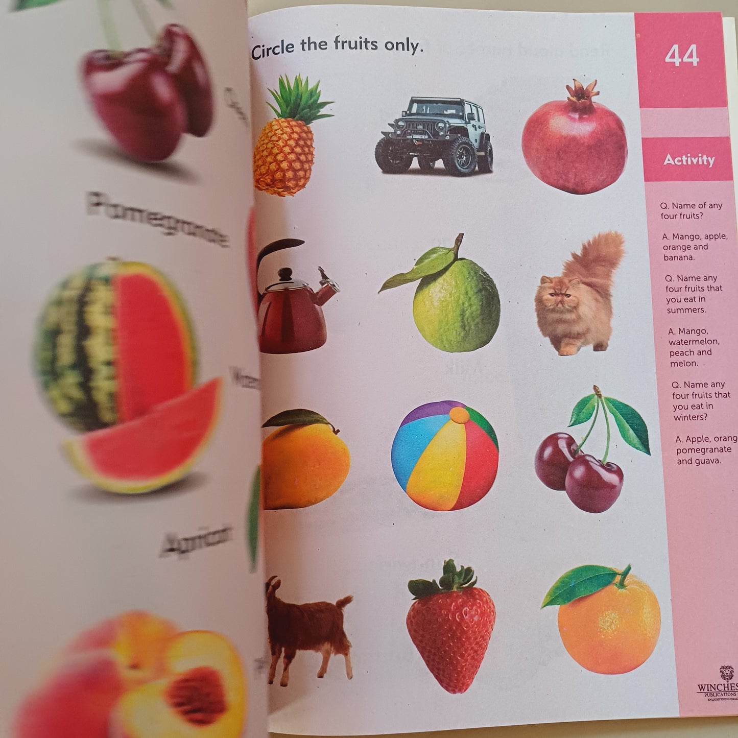 Mind Quest General Knowledge A