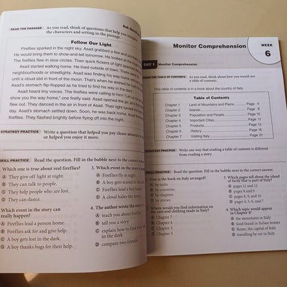 Daily Reading Comprehension Book 3