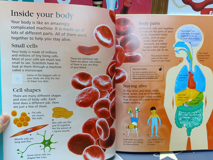 First Encyclopedia of the Human Body -Usborne
