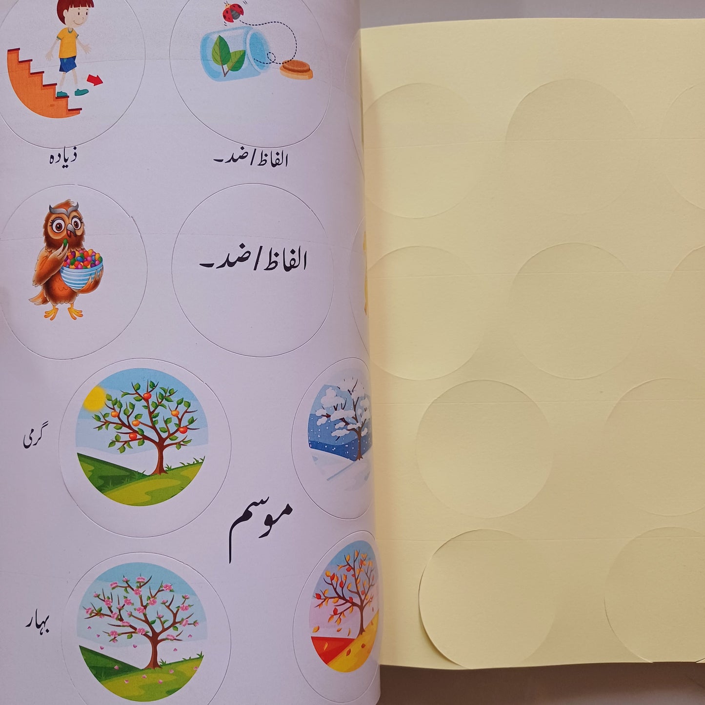 Practice Copies Set - Step 2