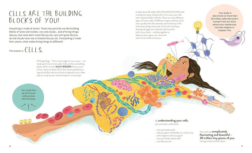 Thirty Trillion Cells- How your body Really works