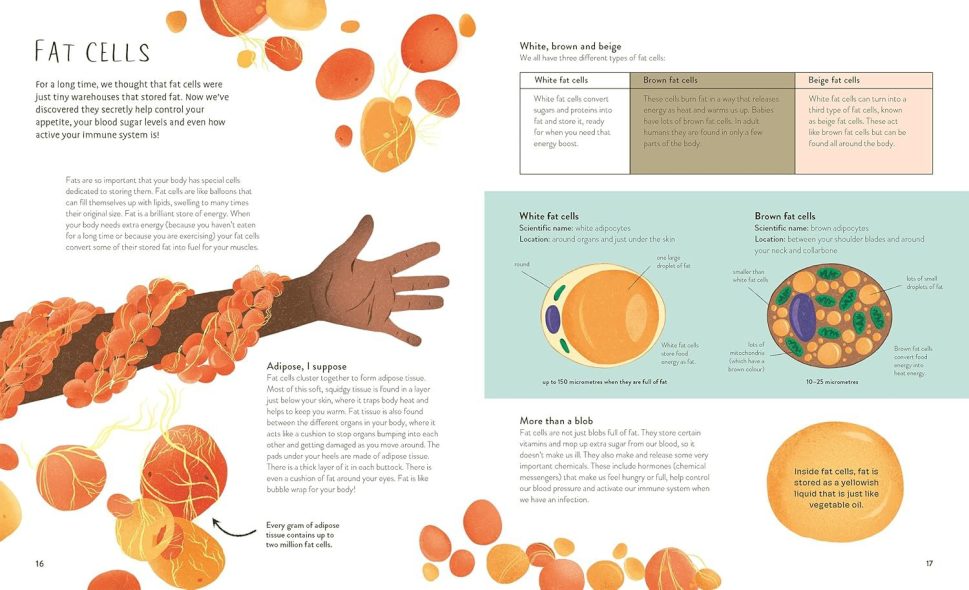 Thirty Trillion Cells- How your body Really works