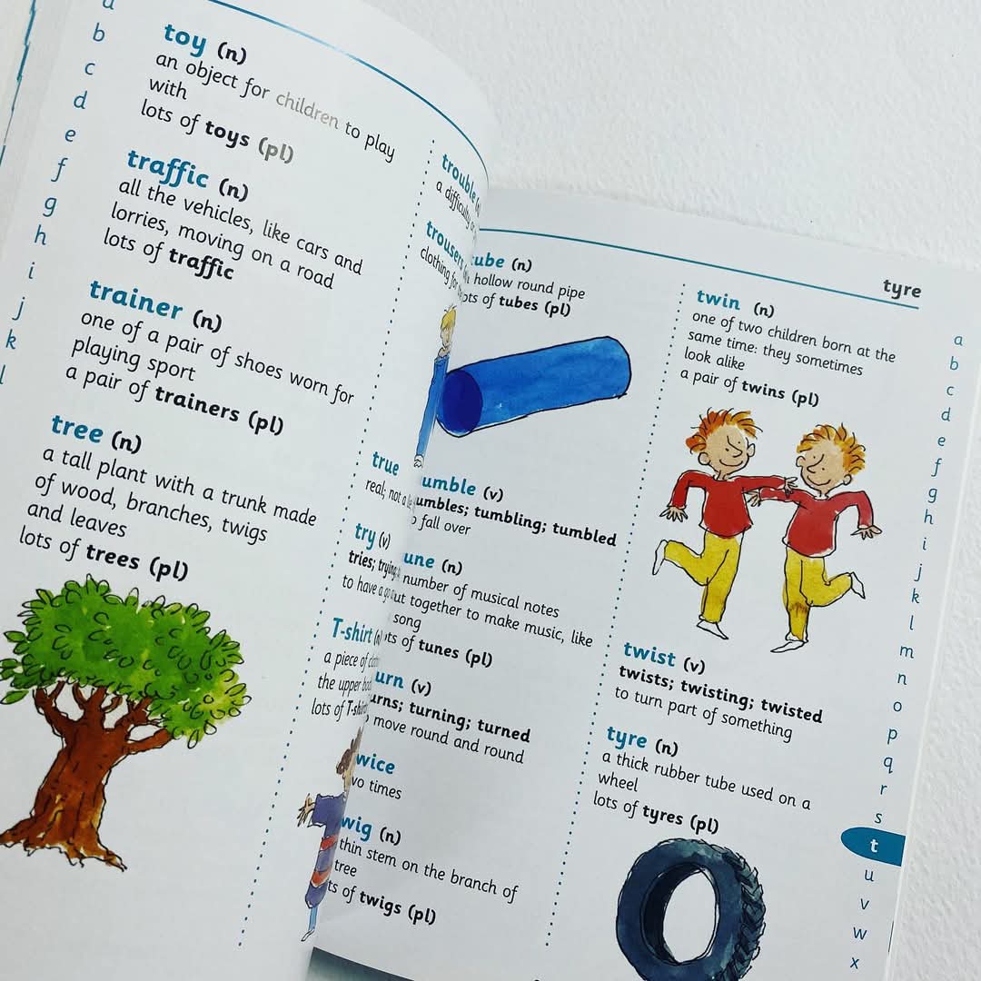 MY FIRST LADYBIRD DICTIONARY