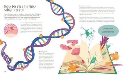 Thirty Trillion Cells- How your body Really works